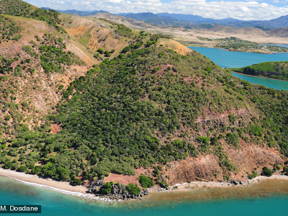 La forêt sèche est présente sur l'Ilot Leprédour mais elle est menacée par les cerfs et les lapins.