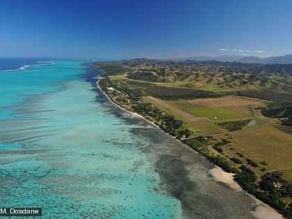 Les herbiers se situent dans des zones proches de la côte et peu profondes.