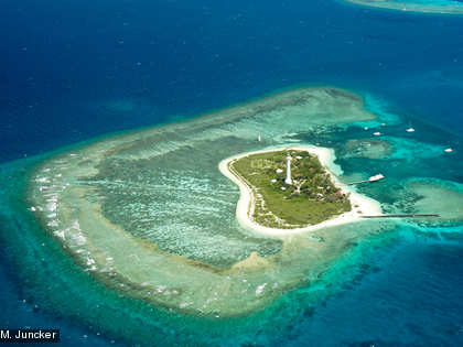 L'ilot Amédée L'ilot Amédée est une réserve marine.