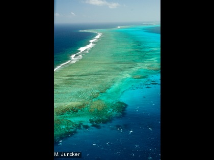 Le lagon abrite différents écosystèmes notamment les récifs coralliens, les herbiers et les îlots.