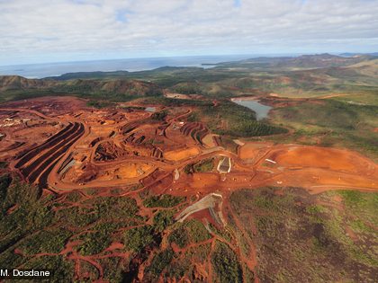 Parce qu’il pousse sur des sols riches en nickel, le maquis minier est menacé par les activités minières susceptibles de se développer dans ces zones.