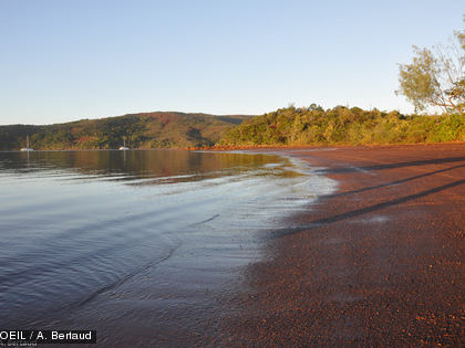 La fête de la baleine 2014 à l'île Ouen Samedi 2 août, baie de la Somme : départ pour l'île Ouen.