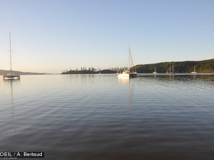 La fête de la baleine 2014 à l'île Ouen Les bateaux sont déjà prêts à emmener les visiteurs en excursions, en espérant bien croiser des baleines.