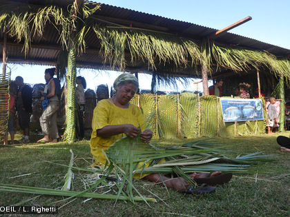 La fête de la baleine 2014 à l'île Ouen Atelier tressage en face des stands d'information.