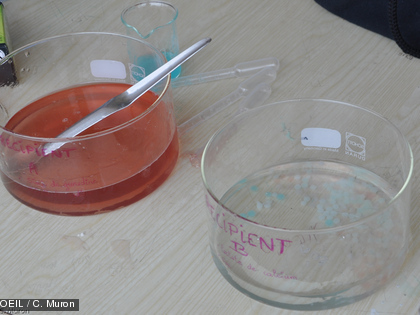 La fête de la science au collège de Boulari