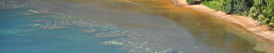 [Thio 2019] Mer