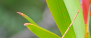 [2014] Terre